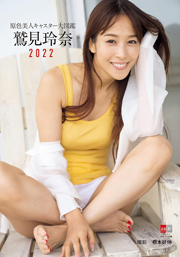 原色美人キャスター大図鑑　鷲見玲奈2022 (デジタル原色美女図鑑) 