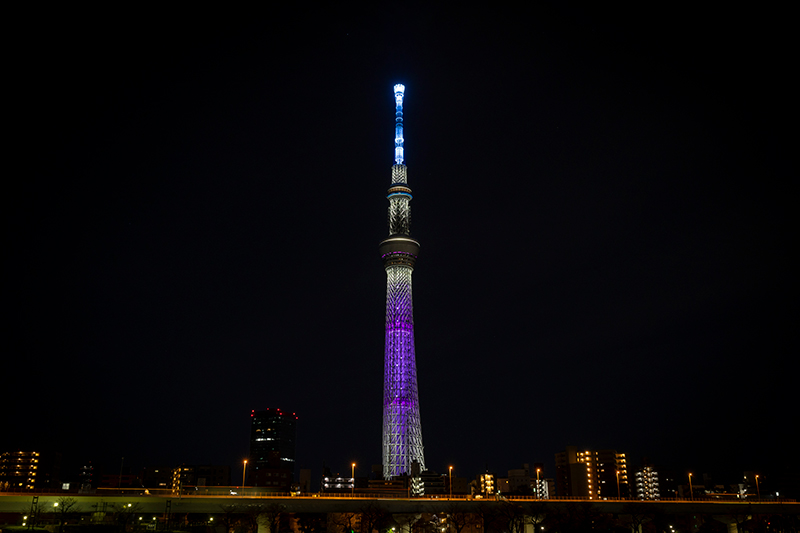 「日向坂46 WE R! in TOKYO SKYTREE(R) -日向坂46の虹-」より日向坂46メンバーのペンライトカラーをイメージしたライティング（佐々木 久美）