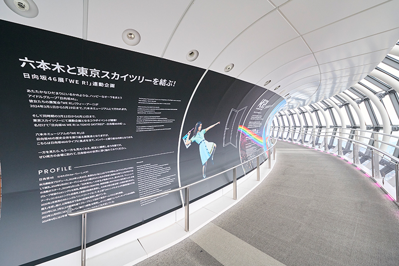 「日向坂46 WE R! in TOKYO SKYTREE(R) -日向坂46の虹-」より日向坂46の虹①