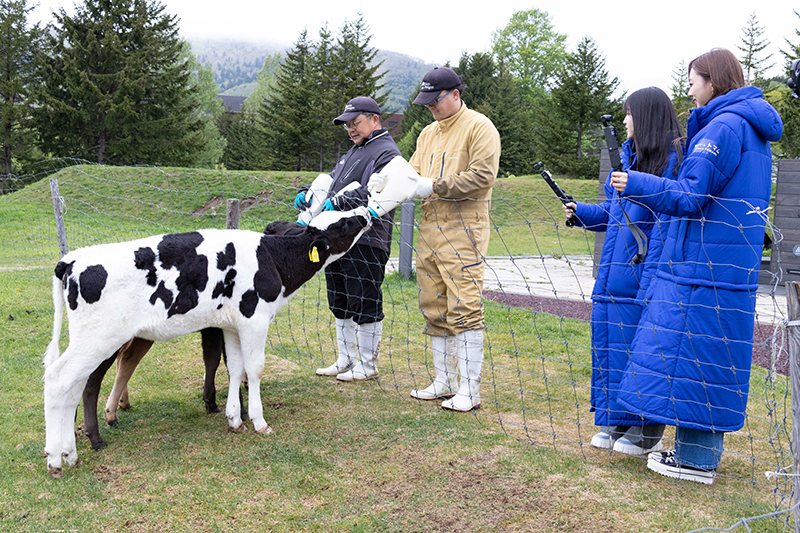 子牛さんたちのミルクタイムを間近で見学する久保史緒里と梅澤美波