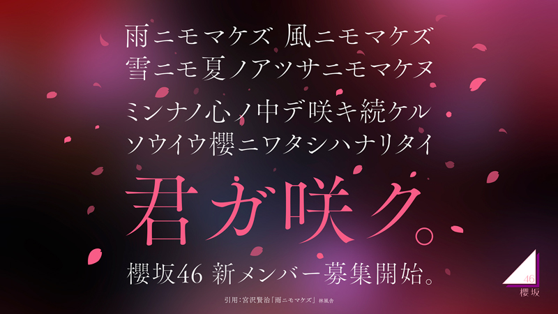 櫻坂46が新メンバーを募集