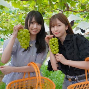 乃木坂46菅原咲月、賀喜遥香からの“ご指名”に大喜び「うそ～うれしい～」