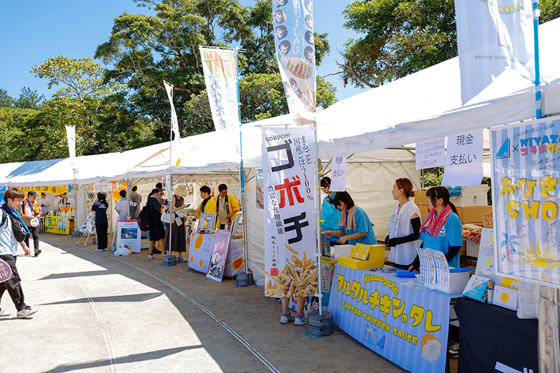 日向坂46「ひなたフェス2024」より