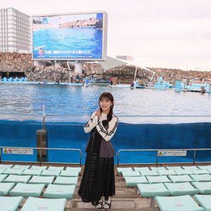 イルカが“様子見”に集合 SKE48鎌田菜月が語る、水族館で出会ったやさしい瞬間